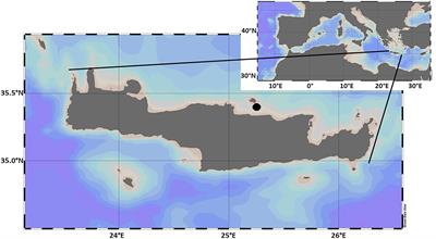 The presence of silver nanoparticles reduces demand for dissolved phosphorus to the benefit of biological nitrogen fixation in the coastal eastern Mediterranean Sea